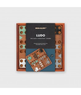 copy of AJEDREZ DE VIAJE