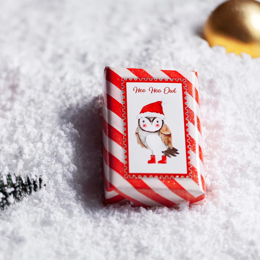 SABONETE NATAL - Hoo Hoo Owl Crème Brûlée