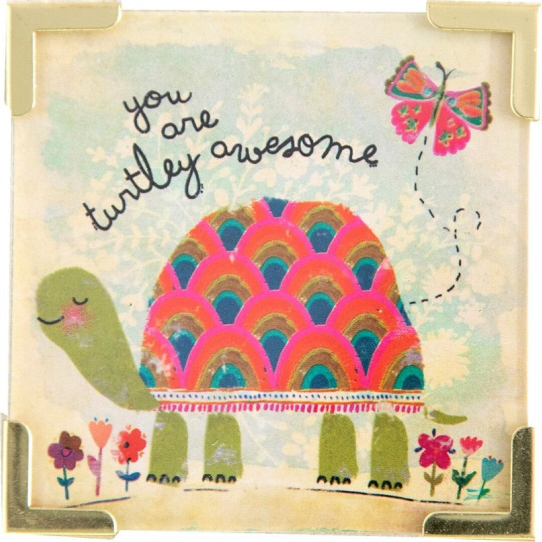 ÍMAN "YOU ARE TURTLEY AWESOME"