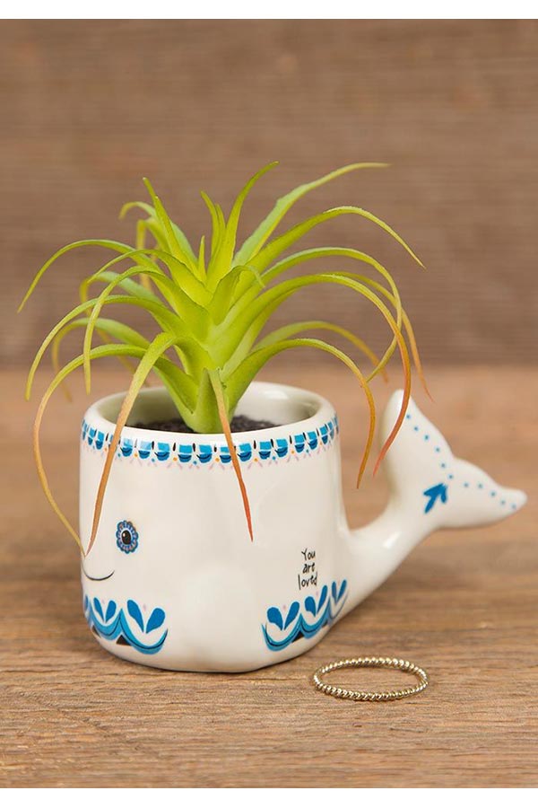 SUCULENTA "YOU ARE LOVED"