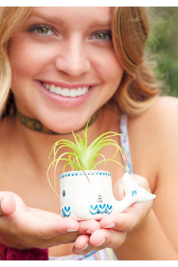 SUCULENTA "YOU ARE LOVED"