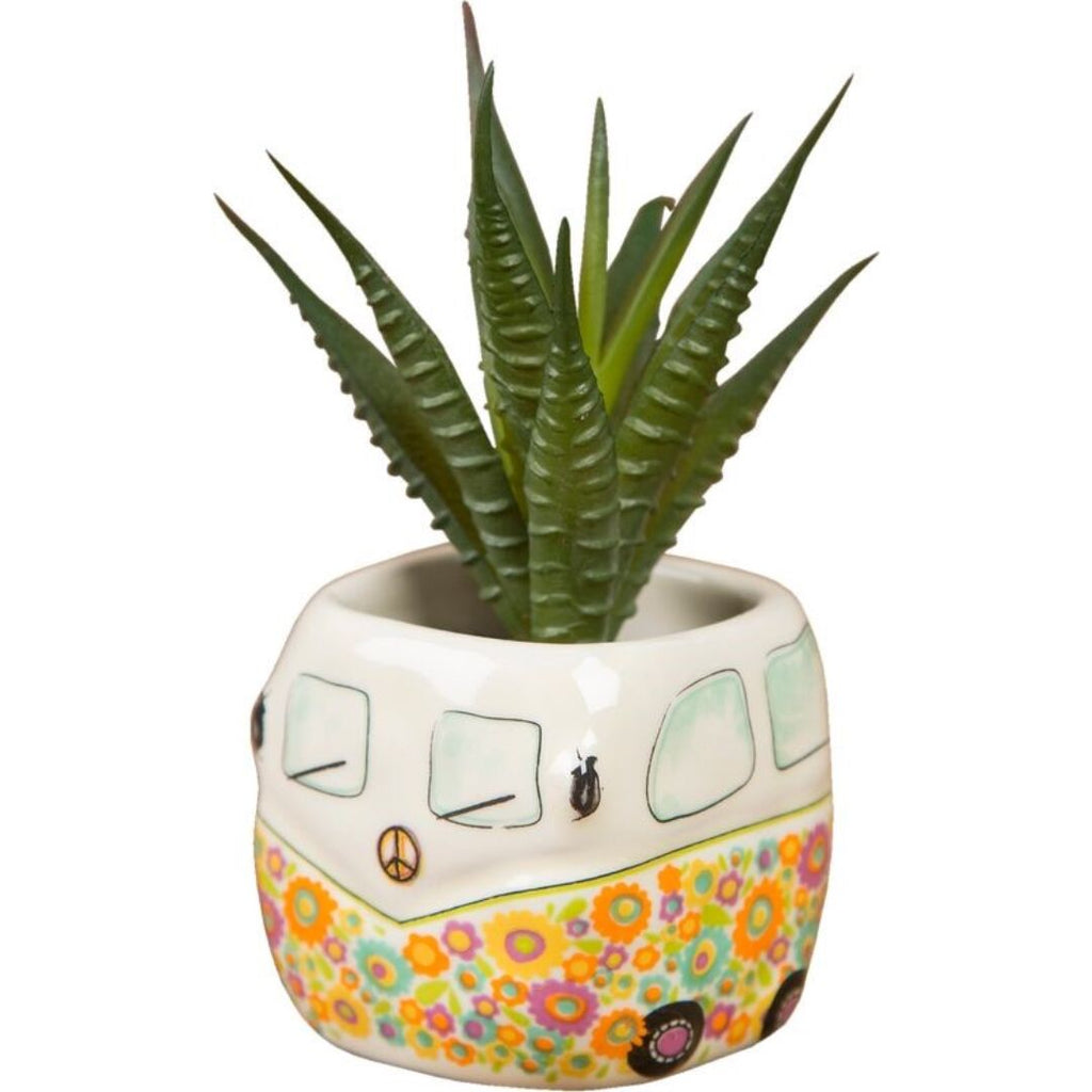 SUCULENTA "FOLLOW YOUR HEART"