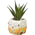 SUCULENTA "FOLLOW YOUR HEART"