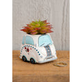 SUCULENTA PARA DECORACIÓN DE COCHES