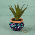 Suculenta decorativa "azul marino y rosa"
